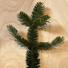 Load image into Gallery viewer, Box of Frasier Fir Greens: Tips or Branches