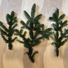 Load image into Gallery viewer, Box of Frasier Fir Greens: Tips or Branches