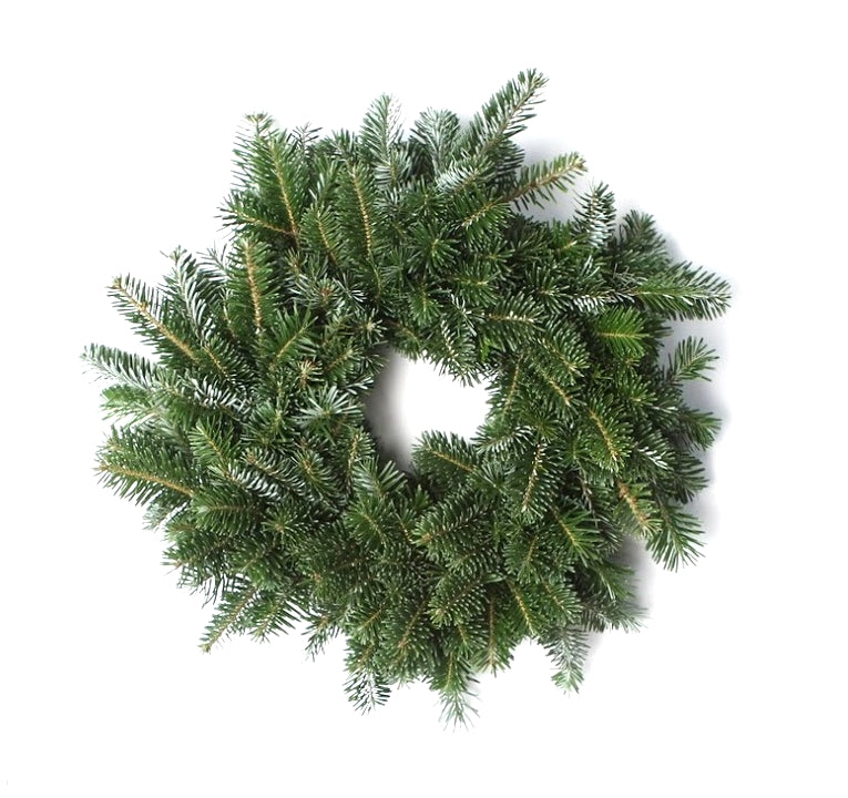 14 Inch Fresh Fraser Fir Christmas Wreath