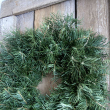 Load image into Gallery viewer, 24 Inch Concolor Fir Fresh Christmas Wreath