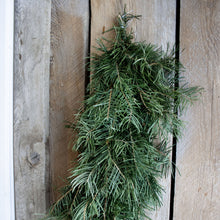 Load image into Gallery viewer, Fresh Concolor Fir Garland (24 in to 18 ft)
