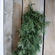 Load image into Gallery viewer, Fresh Concolor Fir Garland (24 in to 18 ft)