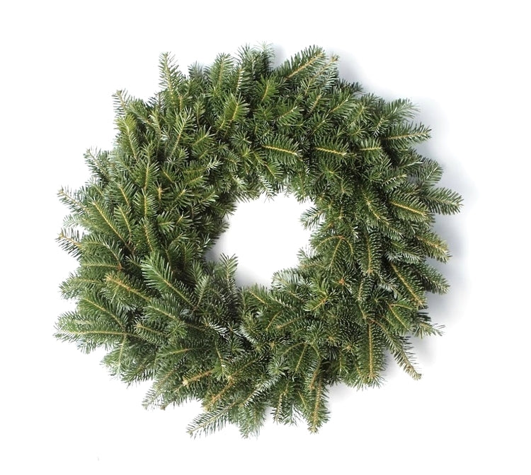 24 Inch Fresh Fraser Fir Christmas Wreath