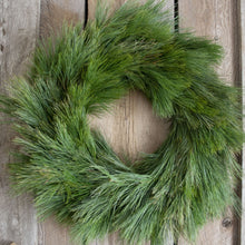 Load image into Gallery viewer, 24 Inch White Pine Fresh Christmas Wreath
