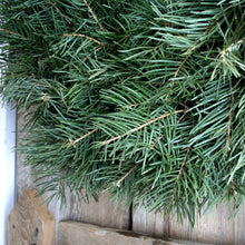 Load image into Gallery viewer, 14 Inch Concolor Fresh Christmas Wreath