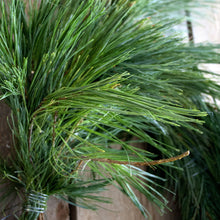 Load image into Gallery viewer, Fresh White Pine Garland (24 in to 18 ft)