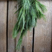 Load image into Gallery viewer, Fresh White Pine Garland (24 in to 18 ft)