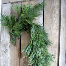 Load image into Gallery viewer, Fresh White Pine Garland (24 in to 18 ft)
