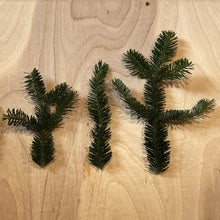 Load image into Gallery viewer, Box of Frasier Fir Greens: Tips or Branches
