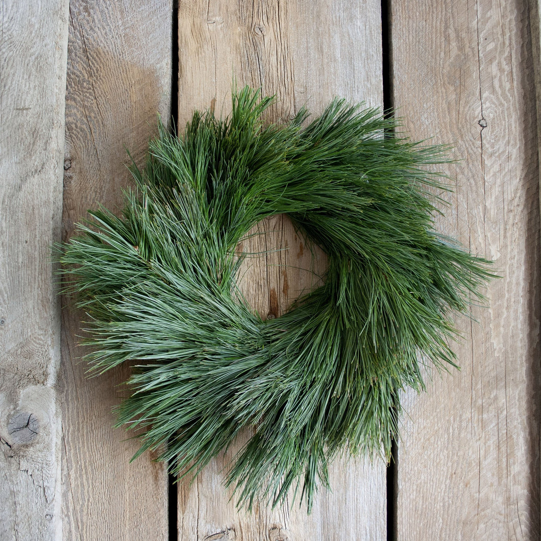 14 Inch White Pine Fresh Christmas Wreath
