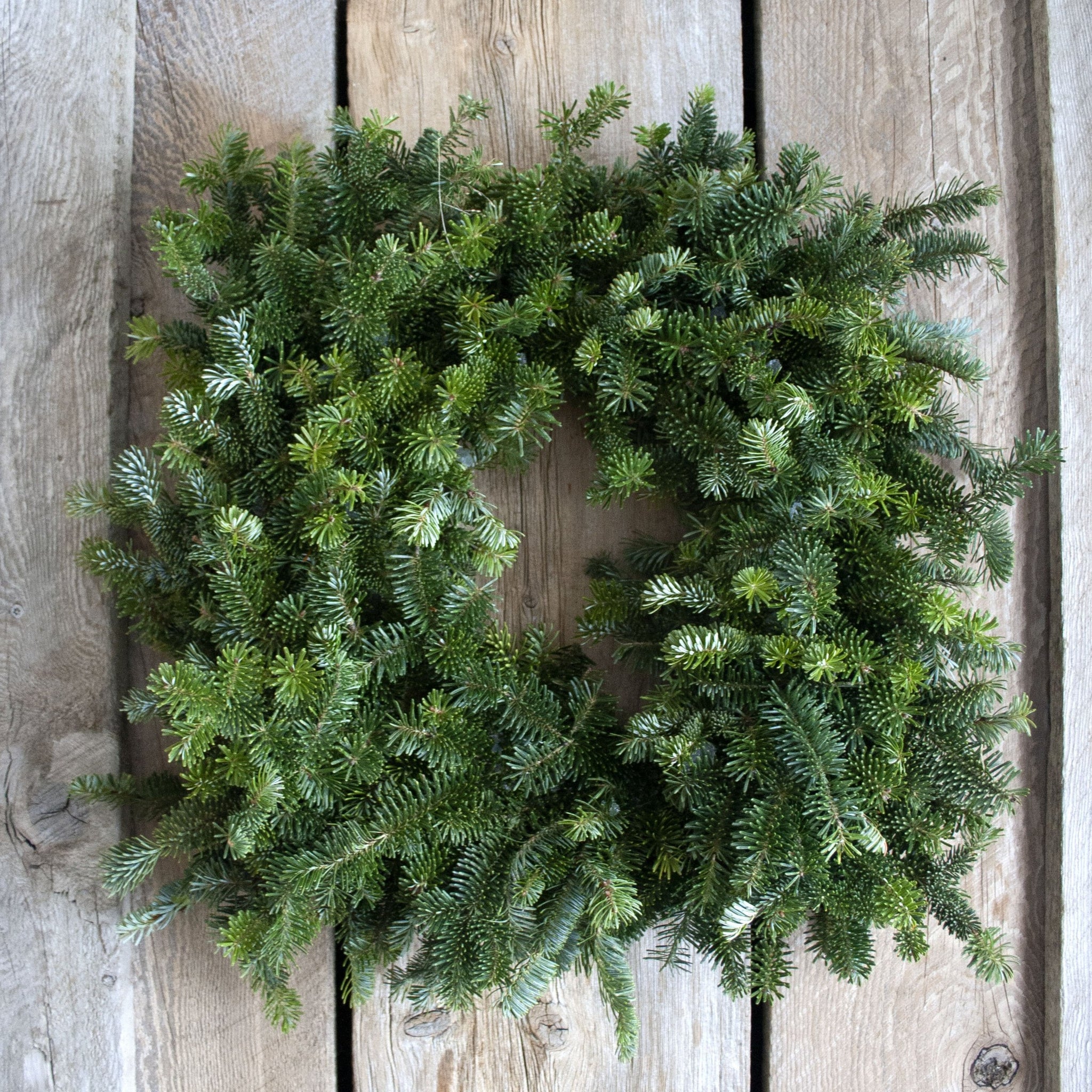 20 Inch Fresh Fraser Fir Square Wreath – snowgreens