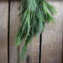 Load image into Gallery viewer, Fresh White Pine Garland (24 Inch to 18 Feet)
